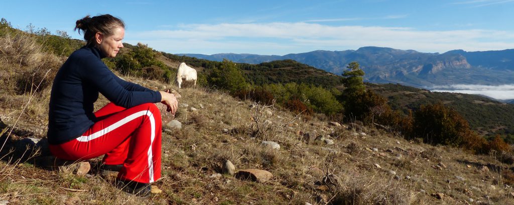 Christa in landschap